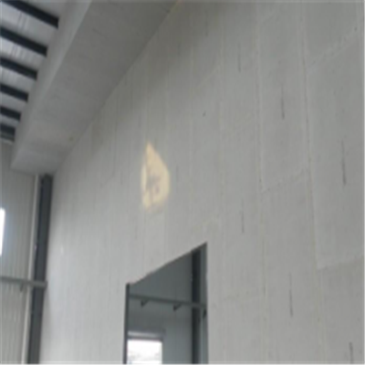 巩义宁波ALC板|EPS加气板隔墙与混凝土整浇联接的实验研讨